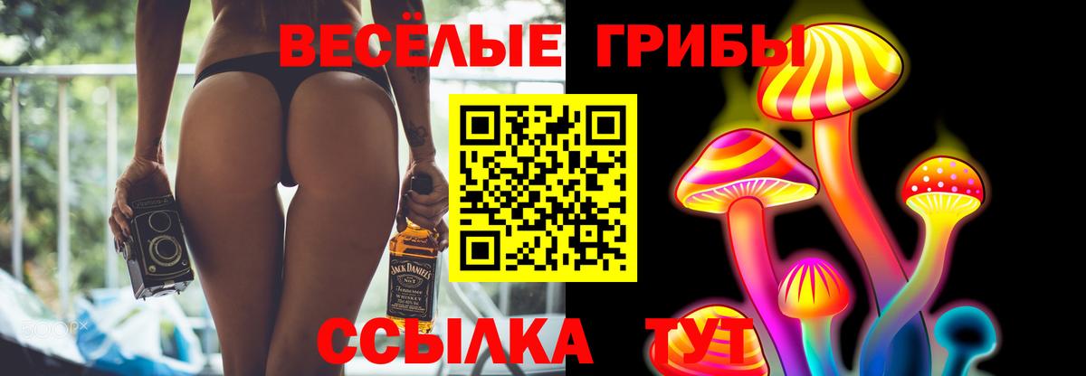 Сердобск  Псилоцибиновые грибы Magic Shrooms  Вход с VPN 